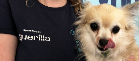Guerilla Supports Newcastle Dog & Cat Shelter