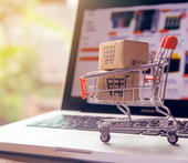 eCommerce Insight Group 