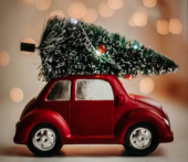Christmas Member Lunch - Newcastle