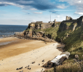 Tynemouth Walk with Lunch 